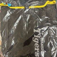 リュック（阪神タイガースロゴ入り）の画像