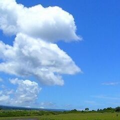◆5/10(土)・5/17(土)・5/24(土)・5/31…