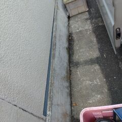 盆栽鉢　太宰府まで取りに来れる方の画像