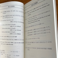 某予備校　大学受験英語構文集viaの画像