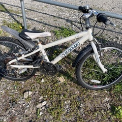 自転車　マウンテンバイク　22インチ　ルイガノ
