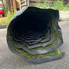 人工芝 ロール 6.5m×1.2m 芝丈30mm前後 ガーデニング、ベランダなどの画像