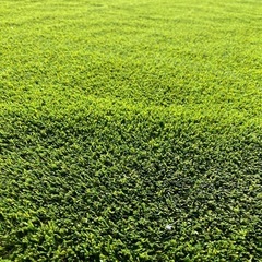 人工芝 210×260cm 高密度 大判サイズ 芝丈約30mm 自然な色味 ガーデニング・DIYに最適の画像
