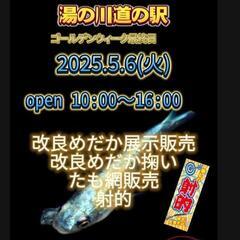 【めだか屋こう】湯の川道の駅 イベント