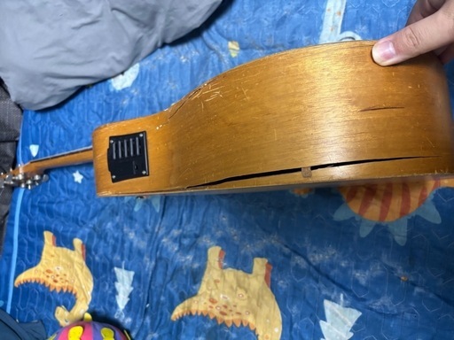 Cole Clark  FL1AC エレアコ