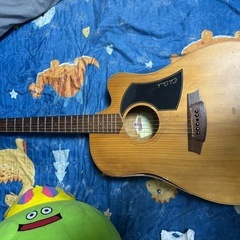 Cole Clark  FL1AC エレアコの画像