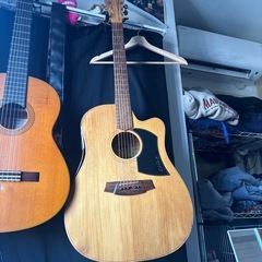 Cole Clark  FL1AC エレアコ