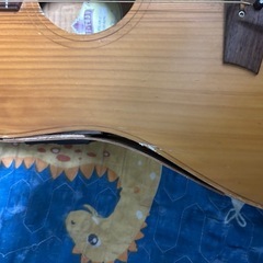 Cole Clark  FL1AC エレアコの画像