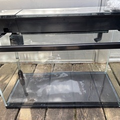 60センチ水槽
