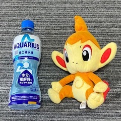 ポケモン ★ ヒコザル　ぬいぐるみ　人気の画像