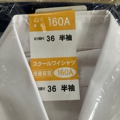 新品スクールシャツ半袖160A(2枚)の画像