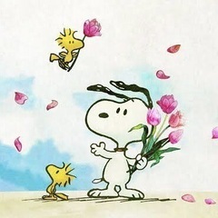 お散歩行きませんか🫶💗