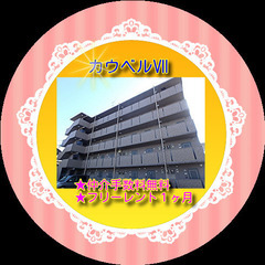 ❤️🎋カウベルⅦ505号室❤️🎋✨仲介手数料無料✨敷金・礼…