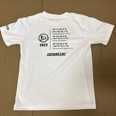 岩手銀河100キロウルトラマラソン　参加賞　Tシャツ　Mサイズの画像