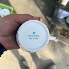 ロベルタ　バルティーニの画像