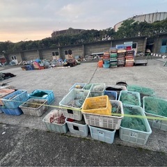 ⚠️注意⚠️【予定変更5月2日まで】漁網 沿岸漁業用(鳥獣避けなどにも)  の画像