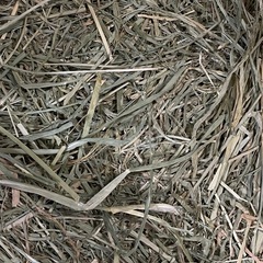 【短期間の掲載】牧草　クレイングラス　20kg その② 