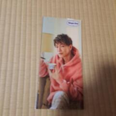 佐藤健ハーゲンダッツ　クリアファイル