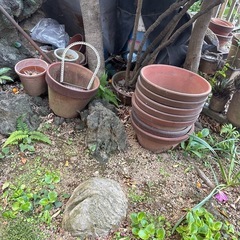 植木鉢の画像
