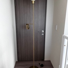 照明