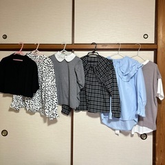 レディース ブラウス 6点セット