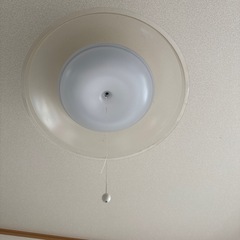 ライト