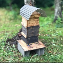 ニホンミツバチの分蜂群をお譲りください。