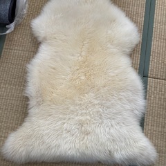 オーストラリアウール