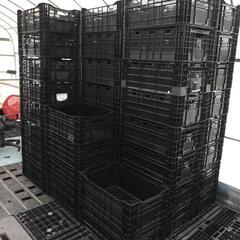 コンテナ　サンテナ　22ケ有り　バラ売り可