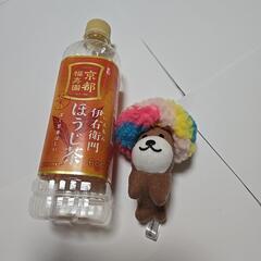 アフロ犬ぬいぐるみ