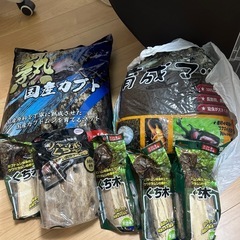 昆虫飼育セット