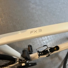 trek FX 3 Disc（2020〜2021）の画像
