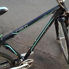 商談中　クロスバイク　Bianchiの画像