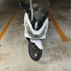 PCXjf56  売ります‼️