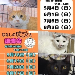 5月18日　ななしのねこさん譲渡会