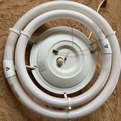 電灯 洋室①の画像