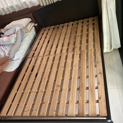 セミダブルベット