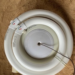 電灯 洋室②の画像