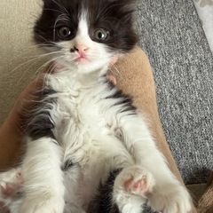 ホクロが可愛いベビたんです。