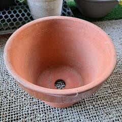 植木鉢(素焼き)①の画像