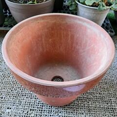 植木鉢(素焼き)①の画像