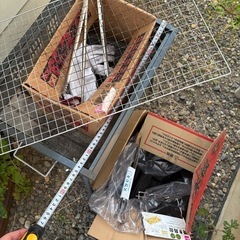 2日 13時BBQセット の画像