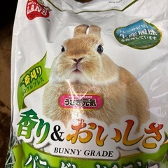 ラビットフードチモシー２袋の画像