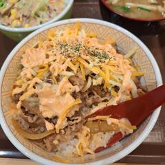 オンライン麻雀から、実際に牌を握って一緒に打ってみませんか？ - メンバー募集