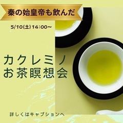 カクレミノお茶瞑想