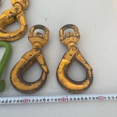 ラッチフックと長シャコの画像