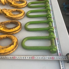 ラッチフックと長シャコの画像