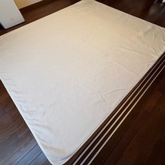 引取先済　ニトリ　ラグ