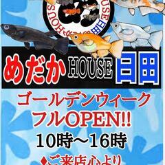 ♦めだかHOUSE日田♦GWフルOPEN!!♦休まず営業致…