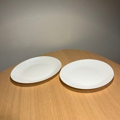 ARTICLE Yamazaki お皿2枚セット　フランス製